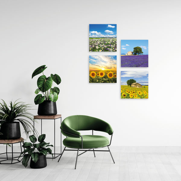 Quadri Stampa su Tela con Telaio in Legno 4 pezzi Campi di fiori, Girasoli, Margherite, Lavanda