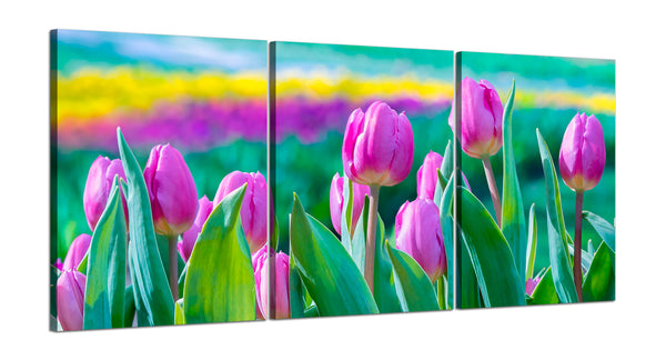 Quadri Stampa su Tela con Telaio in Legno 3 pezzi Tulipani rosa