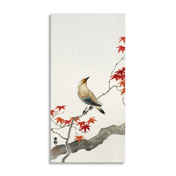 Quadro Stampa su Tela con Telaio in Legno Ohara Koson - Japanese plague bird on maple