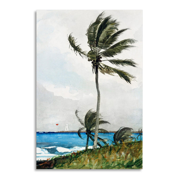 Quadro Stampa su Tela con Telaio in Legno Winslow Homer - Palm Tree, Nassau