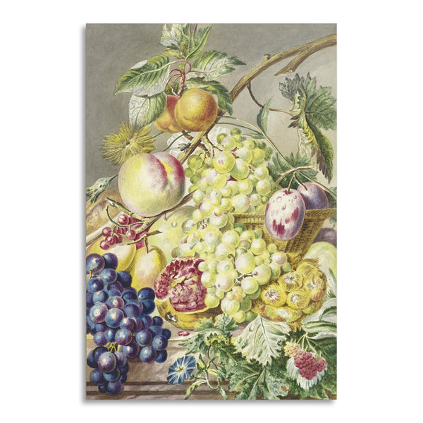 Quadro Stampa su Tela con Telaio in Legno Cornelis Ploos van Amstel - Fruitstuk