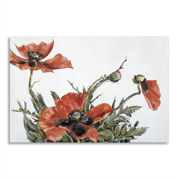 Quadro Stampa su Tela con Telaio in Legno Charles Demuth - Red Poppies