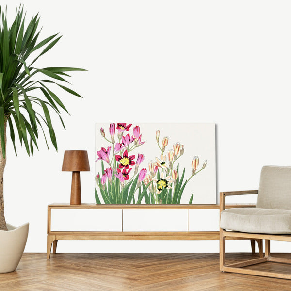 Quadro Stampa su Tela con Telaio in Legno Seiyo Soka Zufu - Vintage ixia flower