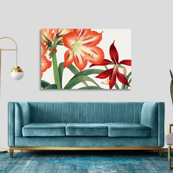 Quadro Stampa su Tela con Telaio in Legno Seiyo Soka Zufu - Vintage amaryllis flower
