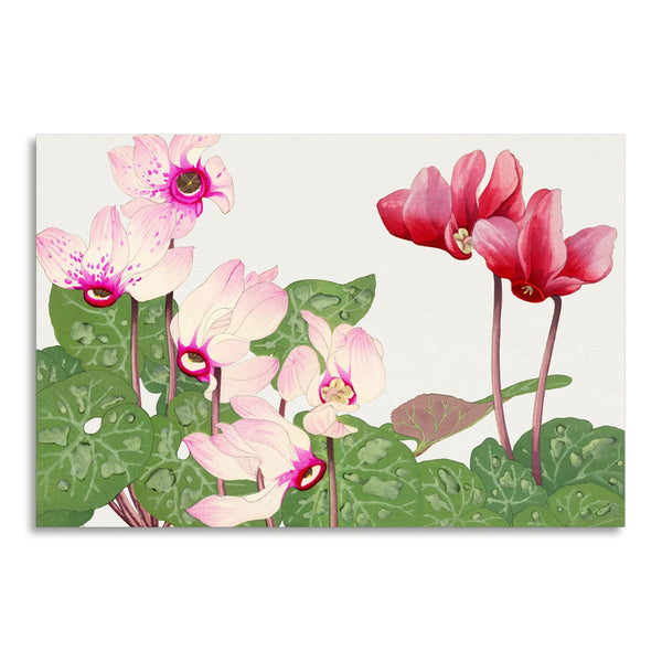 Quadro Stampa su Tela con Telaio in Legno Seiyo Soka Zufu - Phyiiocactus flower