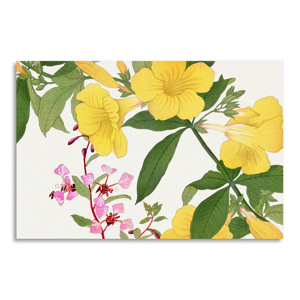 Quadro Stampa su Tela con Telaio in Legno Seiyo Soka Zufu - Vintage clarkia & allamanda flower