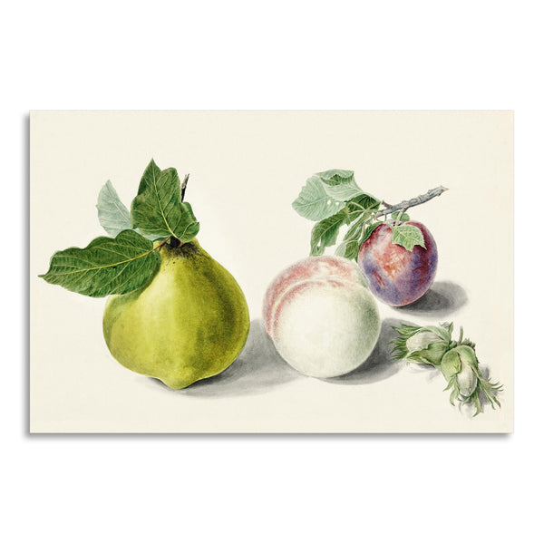Quadro Stampa su Tela con Telaio in Legno Michiel van Huysum - Pear and plum