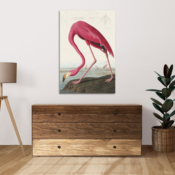 Quadro Stampa su Tela con Telaio in Legno John James Audubon - Pink Flamingo from Birds of America