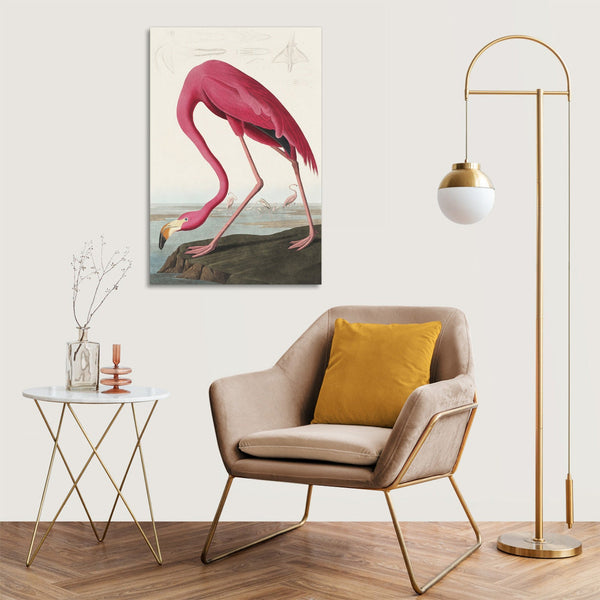Quadro Stampa su Tela con Telaio in Legno John James Audubon - Pink Flamingo from Birds of America