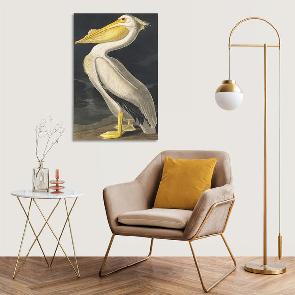 Quadro Stampa su Tela con Telaio in Legno John James Audubon - American White Pelican from Birds of America