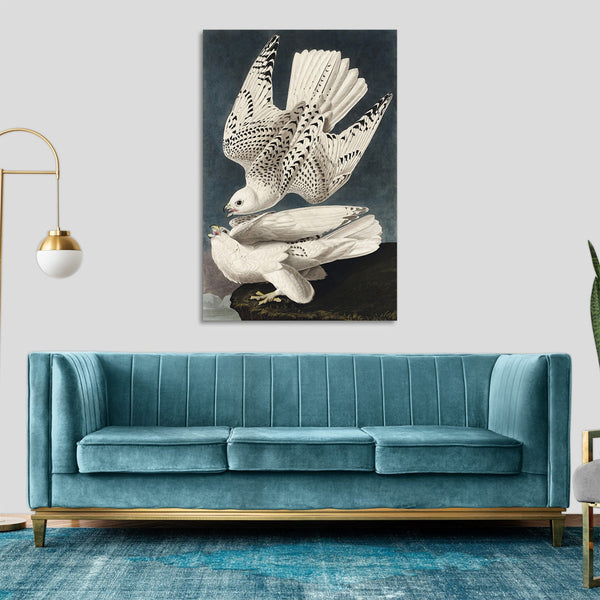 Quadro Stampa su Tela con Telaio in Legno John James Audubon - Iceland or Jer Falcon from Birds of America