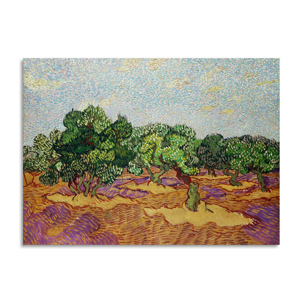 Quadro Stampa su Tela con Telaio in Legno Vincent van Gogh - Olive Trees