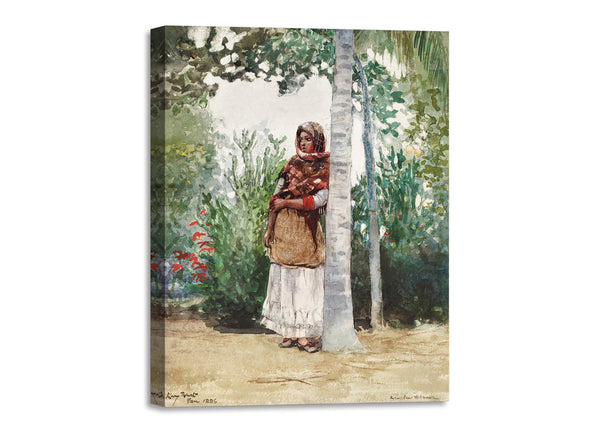 Quadro Stampa su Tela con Telaio in Legno Winslow Homer - Under a Palm Tree