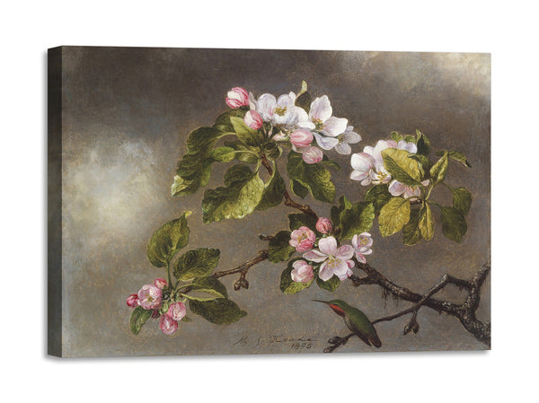 Quadro Stampa su Tela con Telaio in Legno Martin Johnson Heade - Hummingbird and Apple Blossoms