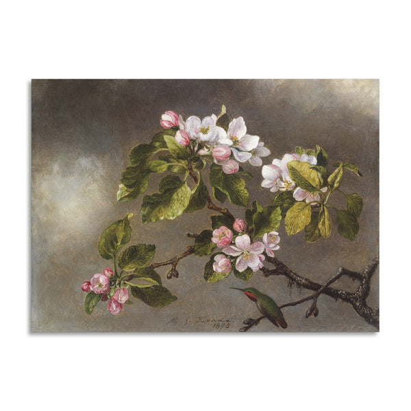 Quadro Stampa su Tela con Telaio in Legno Martin Johnson Heade - Hummingbird and Apple Blossoms