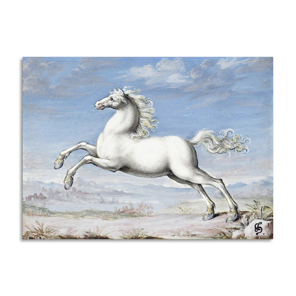 Quadro Stampa su Tela con Telaio in Legno Joris Hoefnagel - White horse