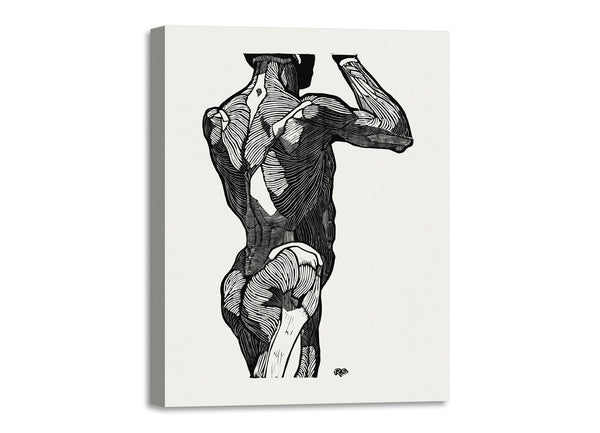 Quadro Stampa su Tela con Telaio in Legno Reijer Stolk - Anatomical study of a man’s back muscles