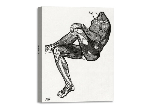 Quadro Stampa su Tela con Telaio in Legno Reijer Stolk - Anatomical study of a man’s leg and arm muscles