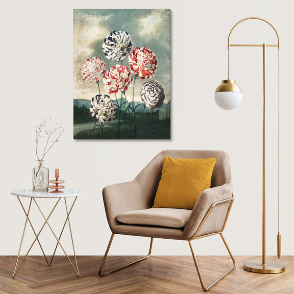 Quadro Stampa su Tela con Telaio in Legno Robert John Thornton - A Group of Carnations from The Temple of Flora