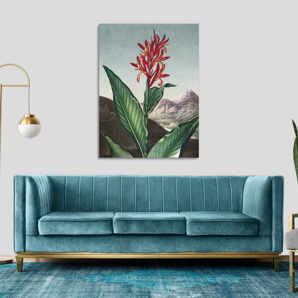 Quadro Stampa su Tela con Telaio in Legno Robert John Thornton - Indian Reed from The Temple of Flora