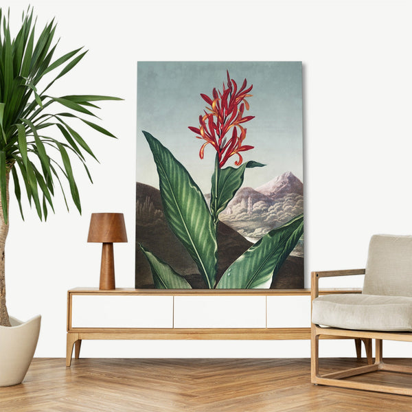 Quadro Stampa su Tela con Telaio in Legno Robert John Thornton - Indian Reed from The Temple of Flora