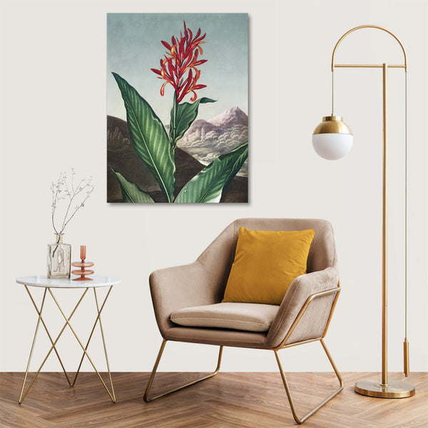 Quadro Stampa su Tela con Telaio in Legno Robert John Thornton - Indian Reed from The Temple of Flora