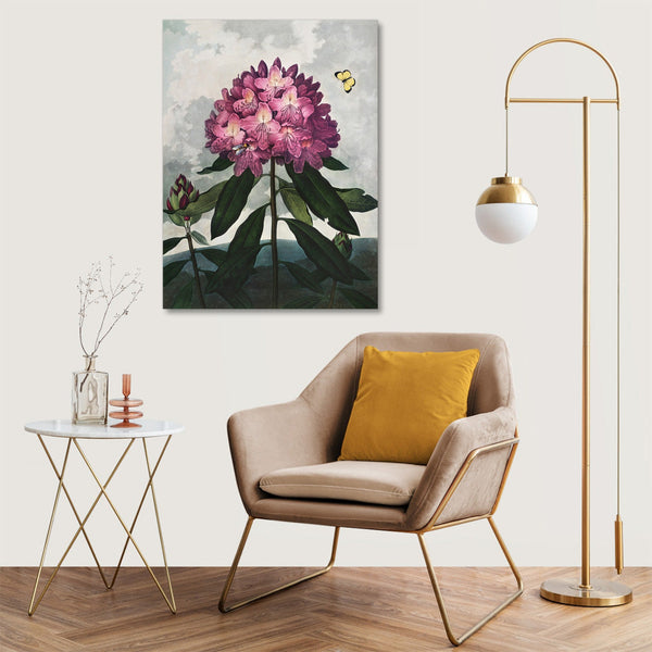 Quadro Stampa su Tela con Telaio in Legno Robert John Thornton - The Pontic Rhododendron from The Temple of Flora