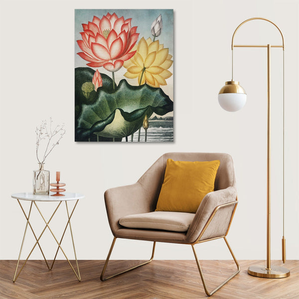 Quadro Stampa su Tela con Telaio in Legno Robert John Thornton - The Sacred Egyptian Bean from The Temple of Flora