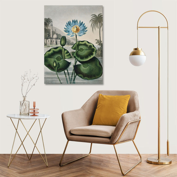 Quadro Stampa su Tela con Telaio in Legno Robert John Thornton - The Blue Egyptian Water-Lily from The Temple of Flora