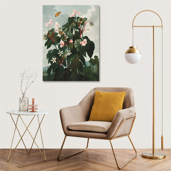 Quadro Stampa su Tela con Telaio in Legno Robert John Thornton - The Oblique Leaved Begonia from The Temple of Flora