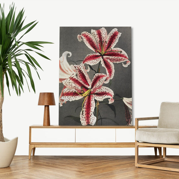 Quadro Stampa su Tela con Telaio in Legno Kazumasa Ogawa - Lily