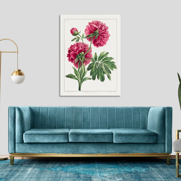 Quadro Stampa su Tela con Telaio in Legno John Edwards - Double Peony