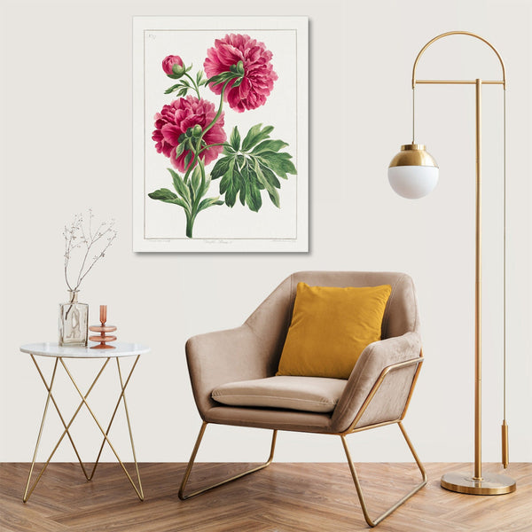 Quadro Stampa su Tela con Telaio in Legno John Edwards - Double Peony
