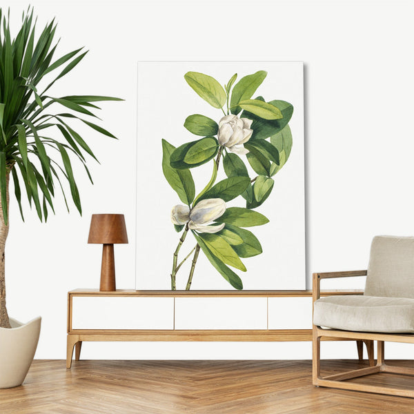 Quadro Stampa su Tela con Telaio in Legno Mary Vaux Walcott - Swamp Magnolia