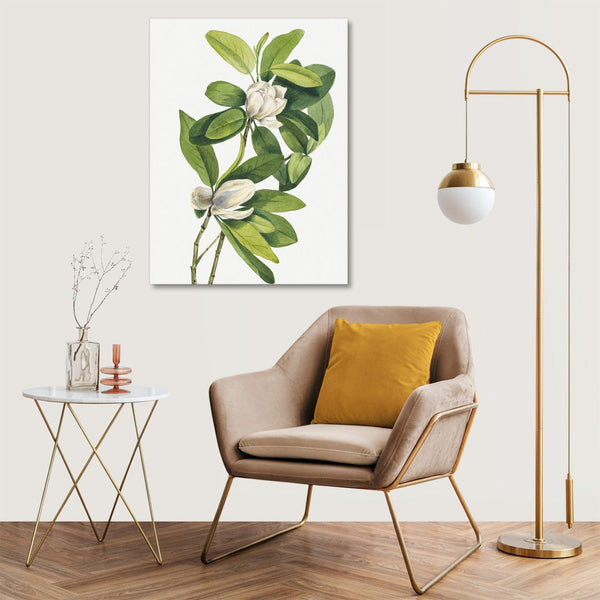 Quadro Stampa su Tela con Telaio in Legno Mary Vaux Walcott - Swamp Magnolia