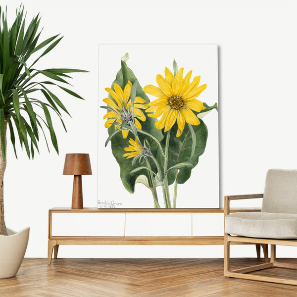 Quadro Stampa su Tela con Telaio in Legno Mary Vaux Walcott - Balsamroot