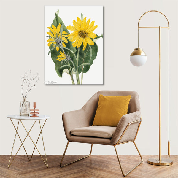 Quadro Stampa su Tela con Telaio in Legno Mary Vaux Walcott - Balsamroot