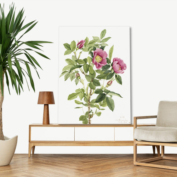 Quadro Stampa su Tela con Telaio in Legno Mary Vaux Walcott - Bourgeau Rose