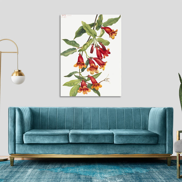 Quadro Stampa su Tela con Telaio in Legno Mary Vaux Walcott - Crossvine