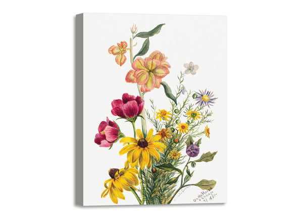 Quadro Stampa su Tela con Telaio in Legno Mary Vaux Walcott - Group of Flowers
