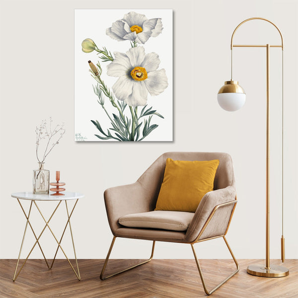 Quadro Stampa su Tela con Telaio in Legno Mary Vaux Walcott - Matilija Poppy