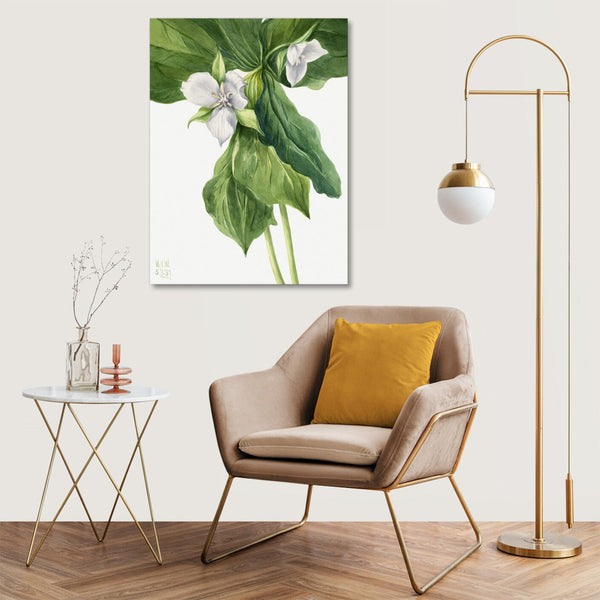Quadro Stampa su Tela con Telaio in Legno Mary Vaux Walcott - Wake-Robin