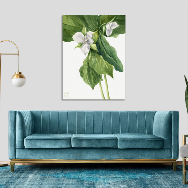 Quadro Stampa su Tela con Telaio in Legno Mary Vaux Walcott - Wake-Robin