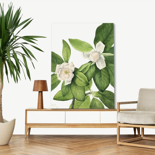 Quadro Stampa su Tela con Telaio in Legno Mary Vaux Walcott - Sweetbay