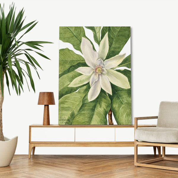 Quadro Stampa su Tela con Telaio in Legno Mary Vaux Walcott - Umbrella Tree