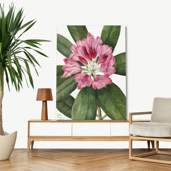 Quadro Stampa su Tela con Telaio in Legno Mary Vaux Walcott - Mountain Rose Bay