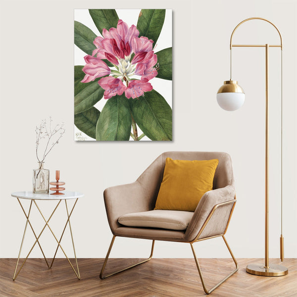 Quadro Stampa su Tela con Telaio in Legno Mary Vaux Walcott - Mountain Rose Bay