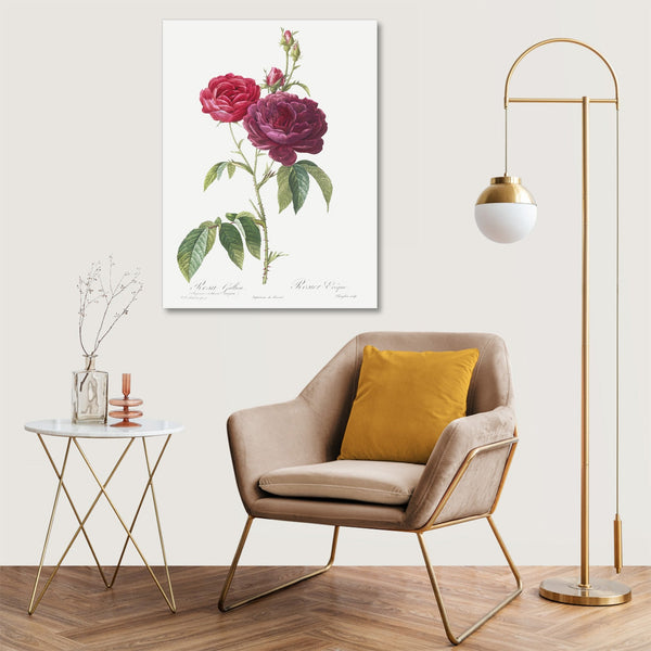 Quadro Stampa su Tela con Telaio in Legno Pierre-Joseph Redouté - Purple French Rose