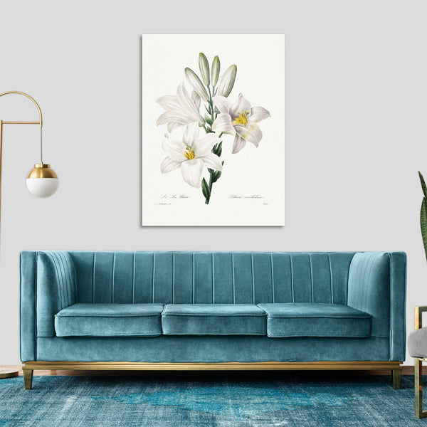 Quadro Stampa su Tela con Telaio in Legno Pierre-Joseph Redouté - Madonna Lily