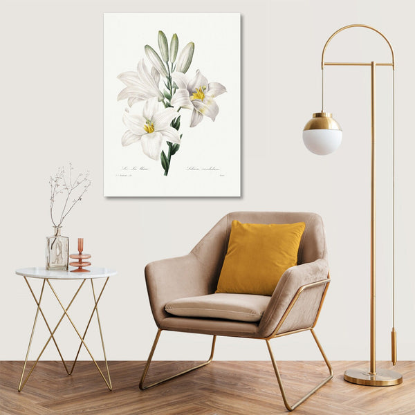 Quadro Stampa su Tela con Telaio in Legno Pierre-Joseph Redouté - Madonna Lily